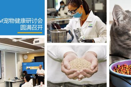 2024宠物大会封面